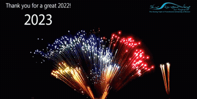 Fireworks Display Thank You For A Great 2023 GIF