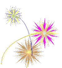 Fireworks Exploding In Night Sky Sticker