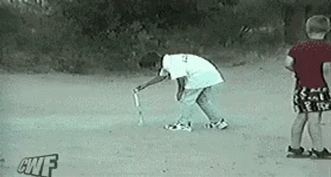Fireworks Fail Gotten By Dog GIF