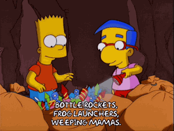 Fireworks Fail Millhouse Van Houten And Bart Simpson GIF