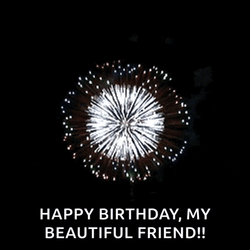 Fireworks Happy GIF