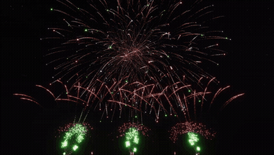 Fireworks In Night Sky With Green Flowers GIF