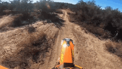 First Person Dirt Bike Ride In The Wild GIF