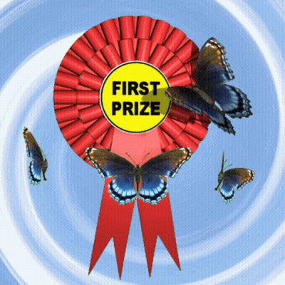 First Prize Ribbon With Butterflies GIF