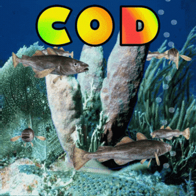 Fish and Sponges With Word Cod