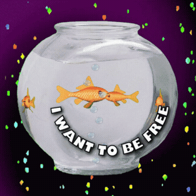 Fish Bowl Saying I Want To Be Free GIF