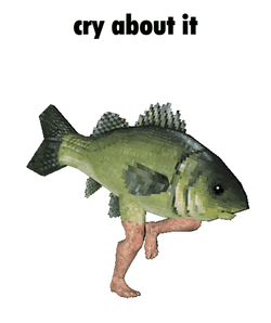 Fish Fish With Legs GIF
