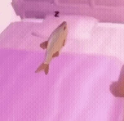Fish Floating On Bed GIF