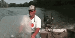 Fish Hit The Man Funny Fishing GIF