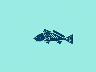 Fish Icon Swimming GIF