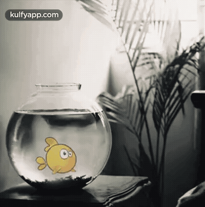 Fish In Bowl With Kulfyapp.com GIF