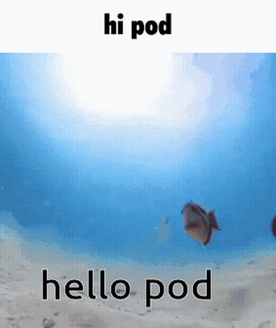 Fish In Ocean Saying Hello Pod GIF
