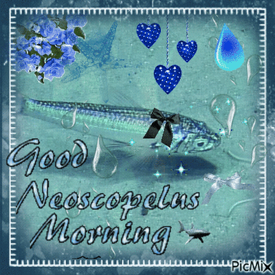 Fish Saying Good Neoscopelas Morning GIF
