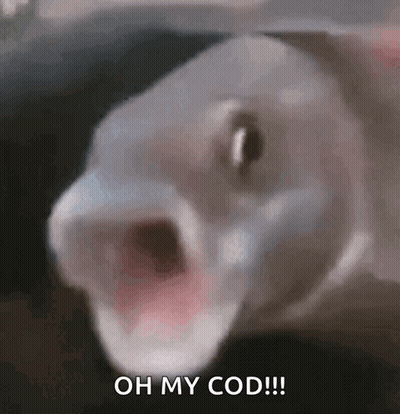 Fish Saying It's Cod Time GIF