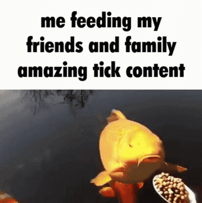 Fish Saying Me Feeding My Friends And Family GIF