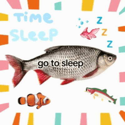 Fish Saying Time Sleep Go To Sleep GIF