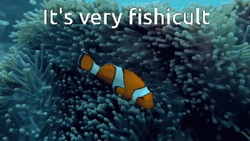 Fish Swimming Fishicult Difficult GIF