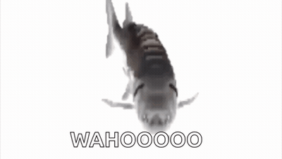 Fish Swimming Saying Wahoooo GIF