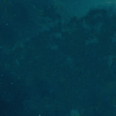 Fish Swimming With Words Oh On Cod GIF