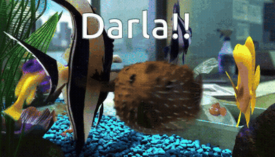 Fish Tank With Darla GIF