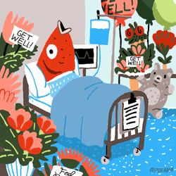 Fish Under Medication Medicine GIF