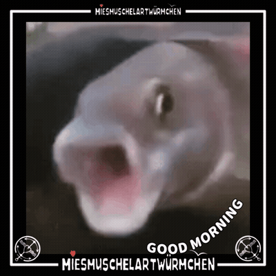 Fish With Mouth Open Saying Good Morning GIF