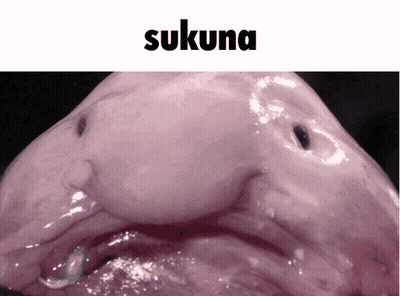 Pez con Sukuna GIF