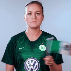 Fisher Logo Mexico Flag GIF