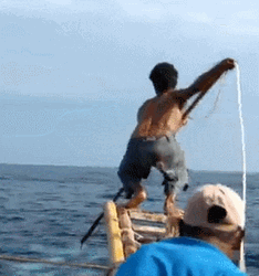 Fisher Whale Hunting GIF