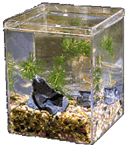 Fishing Aquarium Sticker GIF