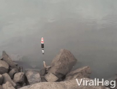 Fishing Float In Water Viralhog GIF