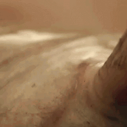Fishing Man With Catfish GIF