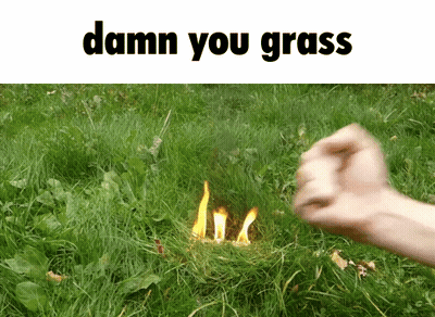 Fist Thrown In Grass Saying Damn You Grass GIF