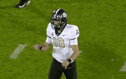 Fist Up Football Hawaii GIF