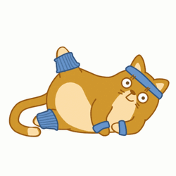 Fit Cat Exercise GIF