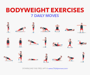 Fitness Body Weight Exercises
