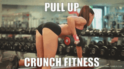Fitness Crunch Pull Up Gym