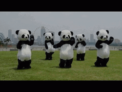 Five Dancing Panda Mascots GIF