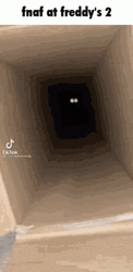 Five Nights At Freddy's Cat Meme GIF
