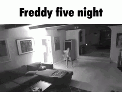 Five Nights At Freddy's CCTV Jump Scare GIF