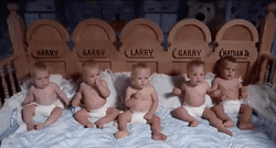 Five Quiet Nepo Baby GIF