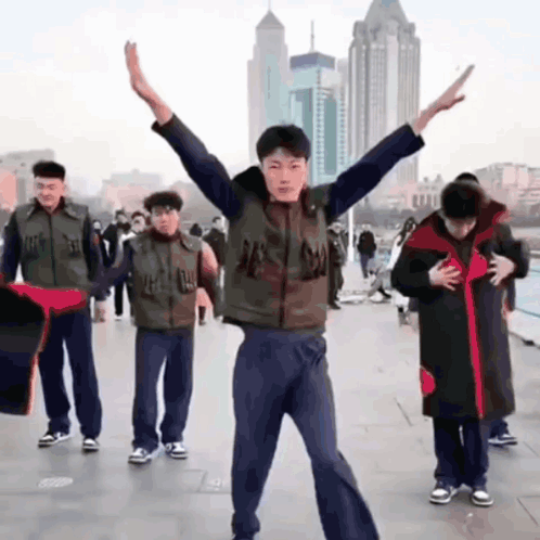 Fjans Dance GIF