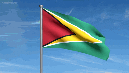 Flag Guyana GIF