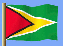 Flag Of Guyana  GIF