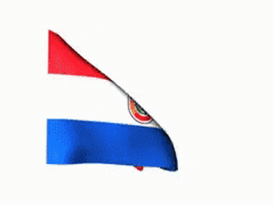 Flag Of Paraguay Waving In Wind GIF