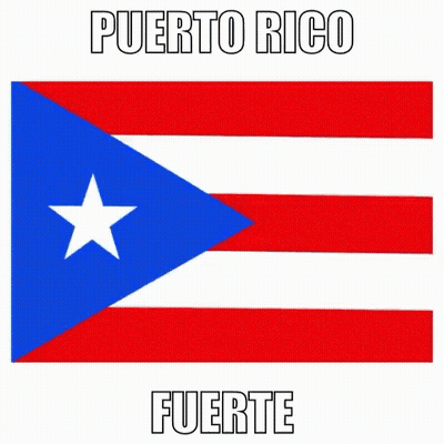 Flag Of Puerto Rico Red White Blue With White Star GIF
