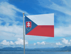 Flag Of Slovakia Waving GIF
