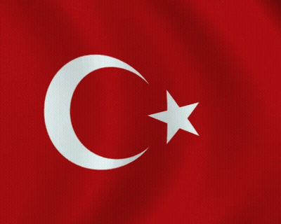 Flag Of Turkey With Crescent Moon And Star GIF