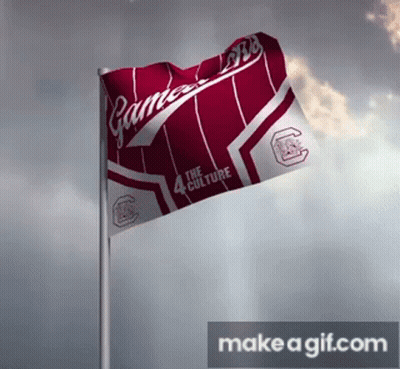 Flag Saying The Culture Flying In Wind GIF