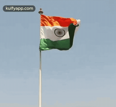 Flag Waving GIF